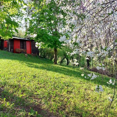 مبيت وإفطار Grumolo Pedemonte La Collina Delle Acacie المظهر الخارجي الصورة