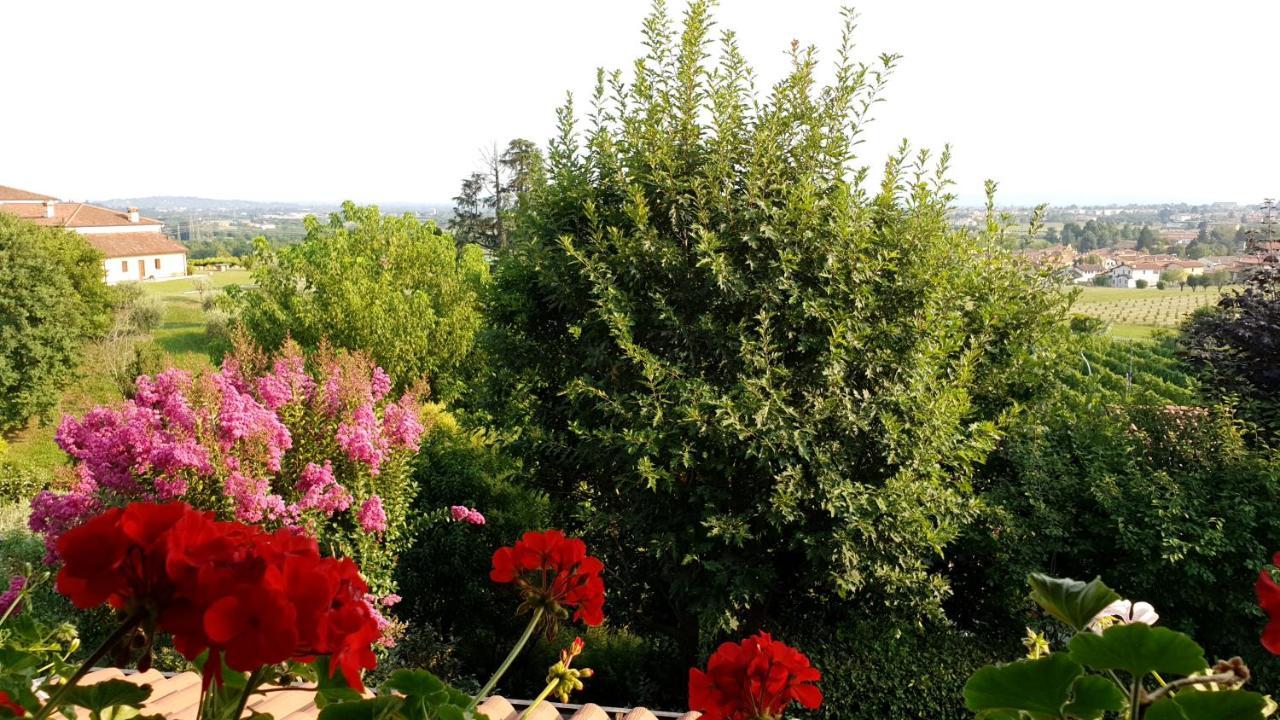 مبيت وإفطار Grumolo Pedemonte La Collina Delle Acacie المظهر الخارجي الصورة